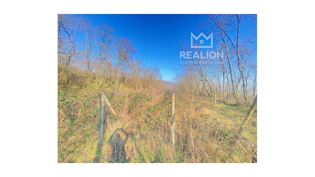 PREDAJ: Vinica 3755 m2 Šinweg, Krasňany, Rača