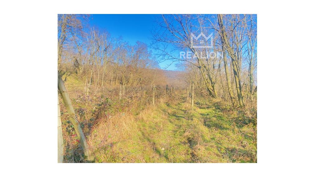 PREDAJ: Vinica 3755 m2 Šinweg, Krasňany, Rača