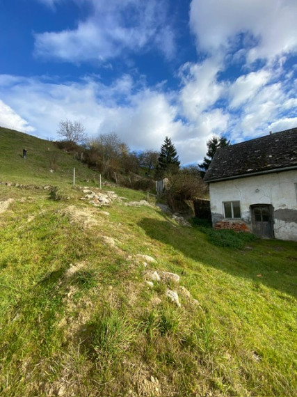 PREDAJ: Pozemok 1251 m2 so starým domom, Borinka