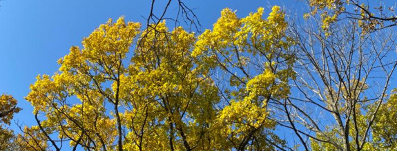 Kúpim garáž alebo parkovacie  miesto v Petržalke