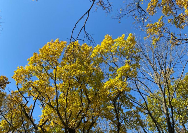 Kúpim garáž alebo parkovacie  miesto v Petržalke