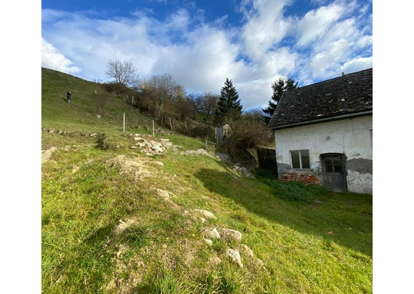 PREDAJ: Pozemok 1251 m2 so starým domom, Borinka